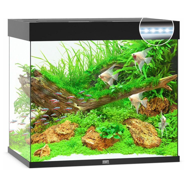 Foto van Juwel Aquarium Lido 200 LED