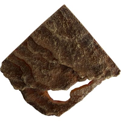 Foto van Trixie Hoekrots met schuilplaats en platform stepperots