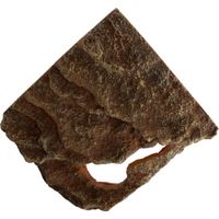 Trixie Hoekrots met schuilplaats en platform stepperots