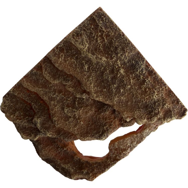 Foto van Trixie Hoekrots met schuilplaats en platform stepperots