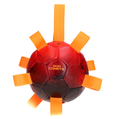 Foto van Dog Comets Hypernova Oranje