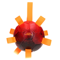 Dog Comets Hypernova Oranje