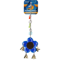 Feather World Looking pretty