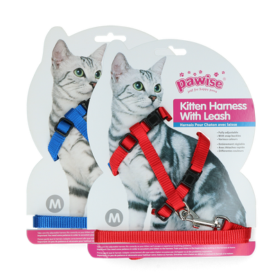 Foto van Pawise Kitten Harness Leash-Red/Blue