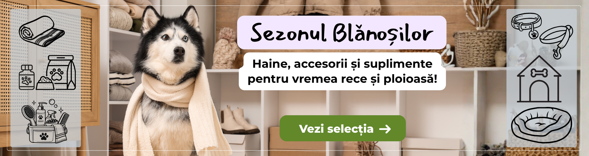 SEZONUL BLANOSILOR