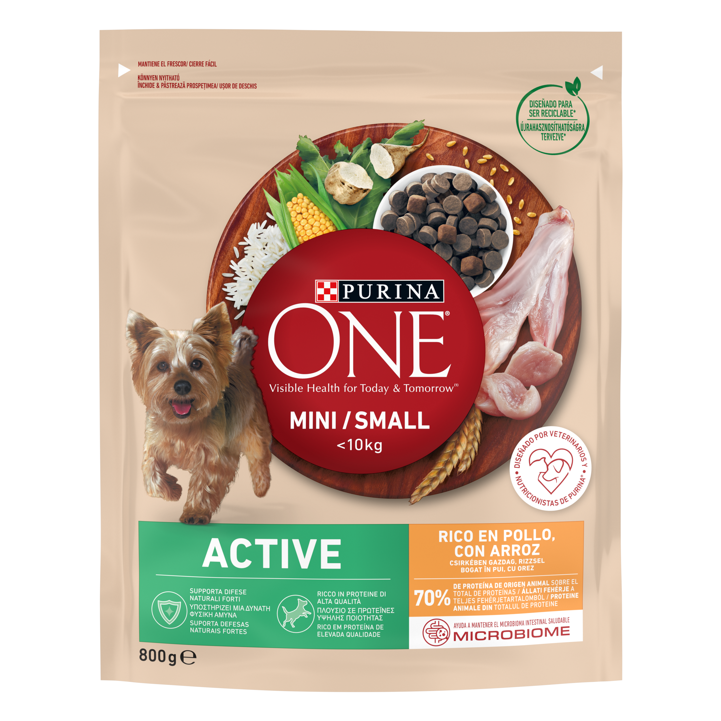 PURINA ONE MINI Active, Pui si Orez, hrana uscata pentru caini, 800 g