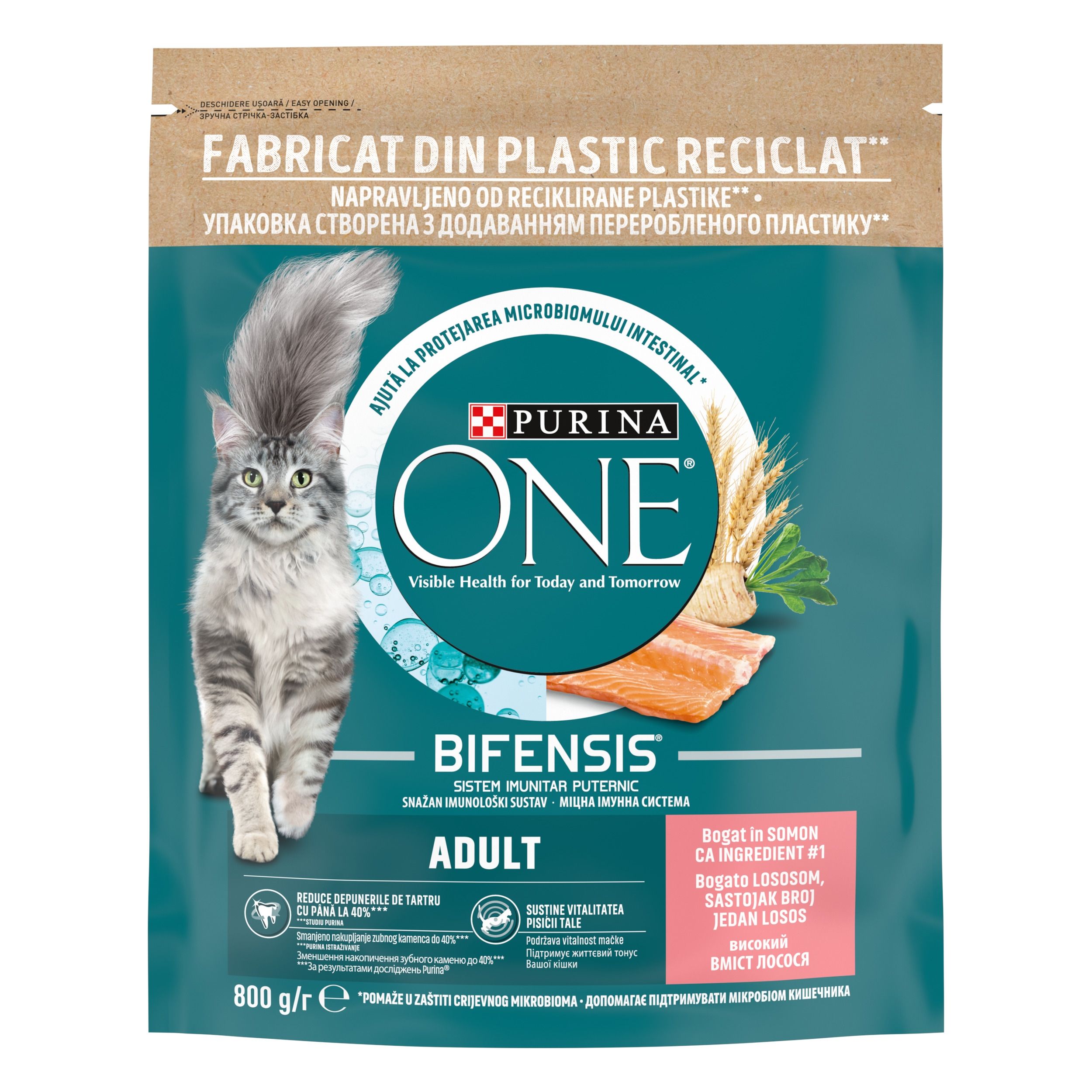 PURINA ONE ADULT, Somon si Cereale Integrale, hrana uscata pentru pisici, 800 g