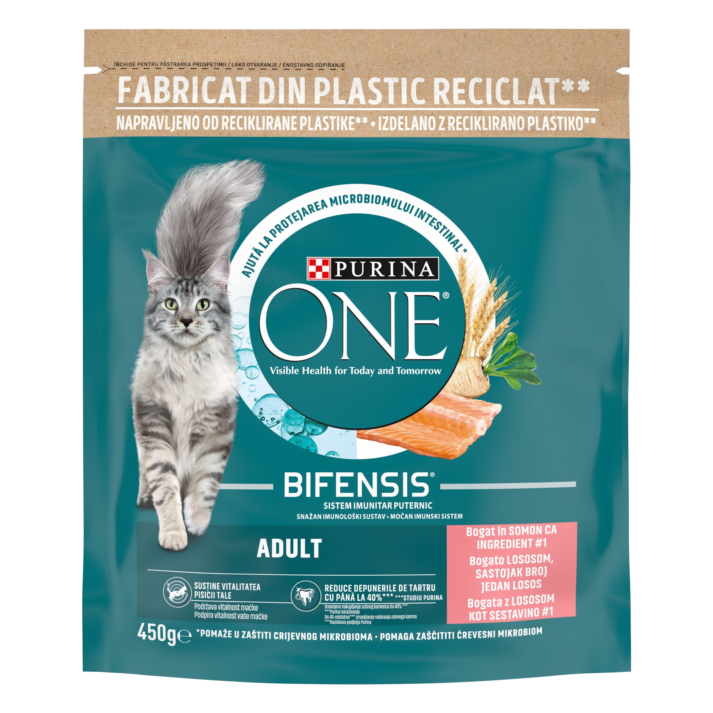 PURINA ONE ADULT, Somon si Cereale Integrale, hrana uscata pentru pisici, 450 g