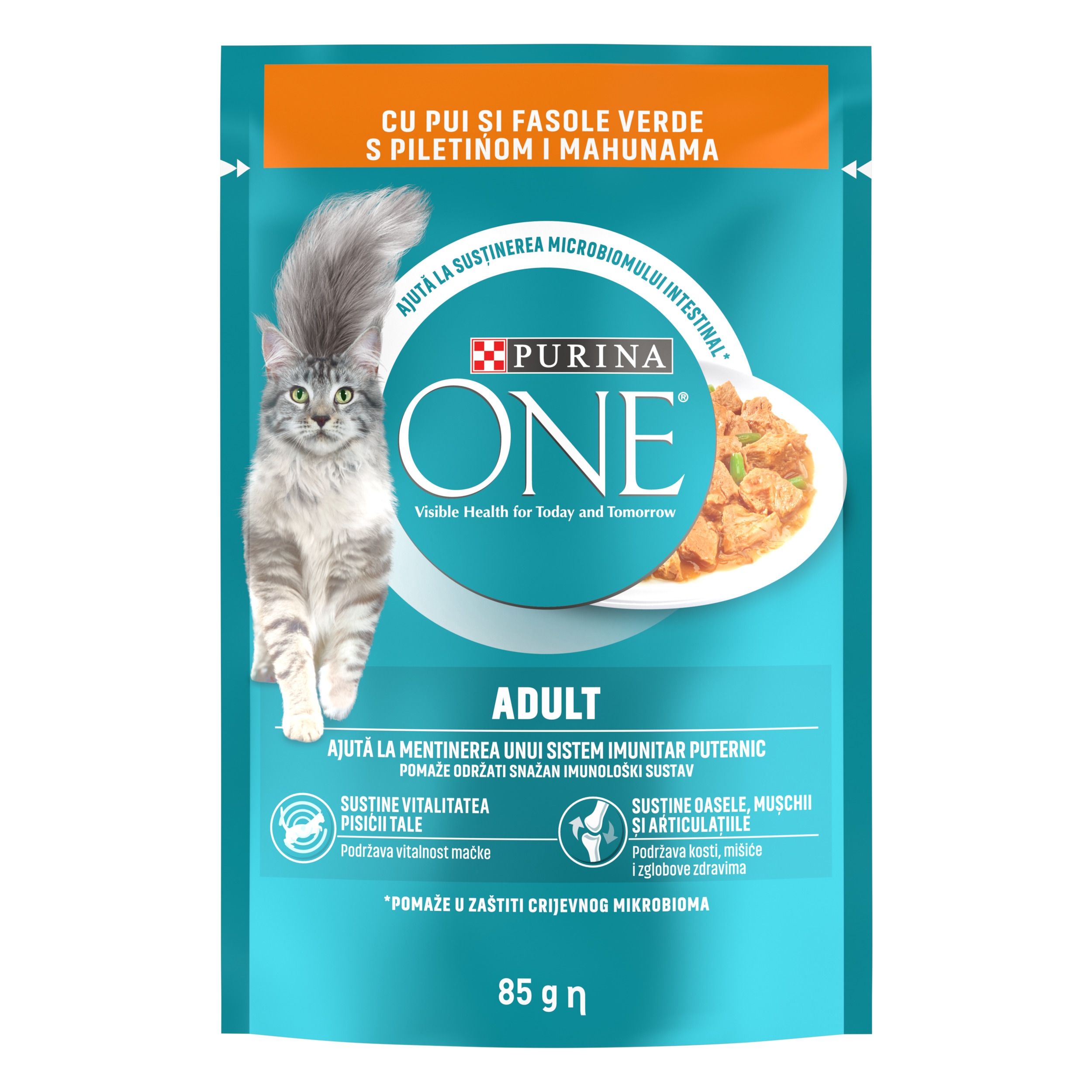 PURINA ONE ADULT, mini fileuri cu Pui si Fasole Verde in sos, 85 g