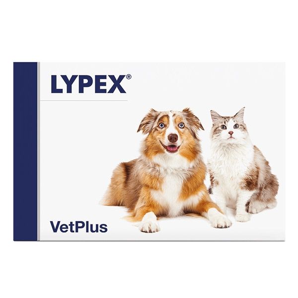 Lypex, 60 capsule câini