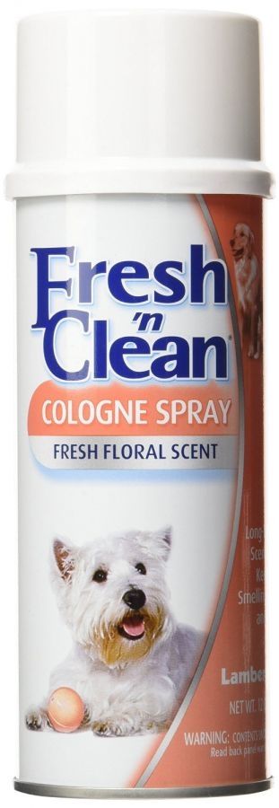 Fresh’n Clean Spray Colonie Floral Scent, 170 g 170 imagine 2022