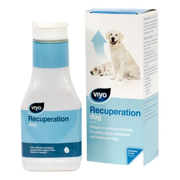 Viyo Recuperation Dog 150ml 150ml