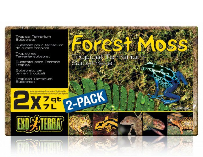 EXO TERRA ASTERNUT FOREST MOSS COMPACT, 2 X 7 L