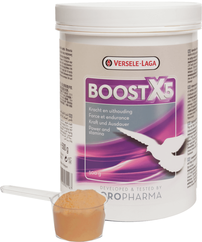 Boost X5, 500 g 500