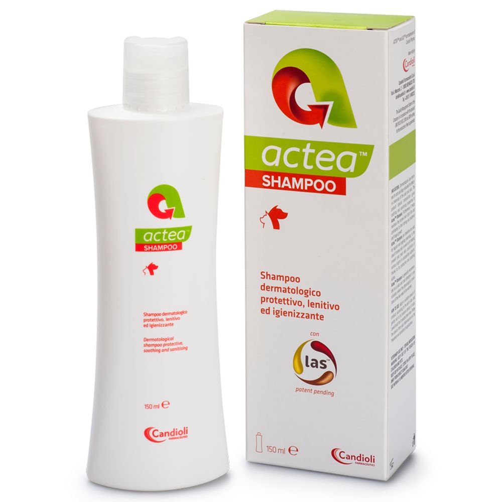 Actea Shampoo, dermatologic, 150 ml 150