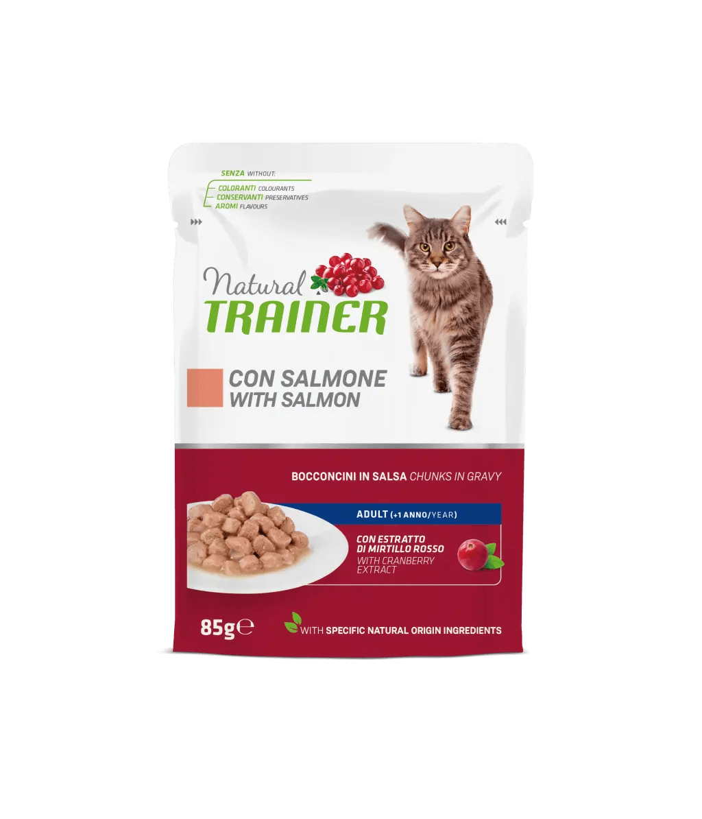 Natural Trainer, Pisica Adulta cu Bucati de Somon in Sos, 85 g