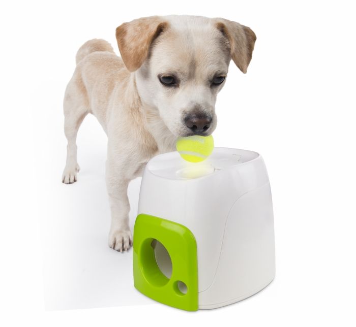 All For Paws, Dispenser Interactiv pentru Recompense, 16x16x20 cm