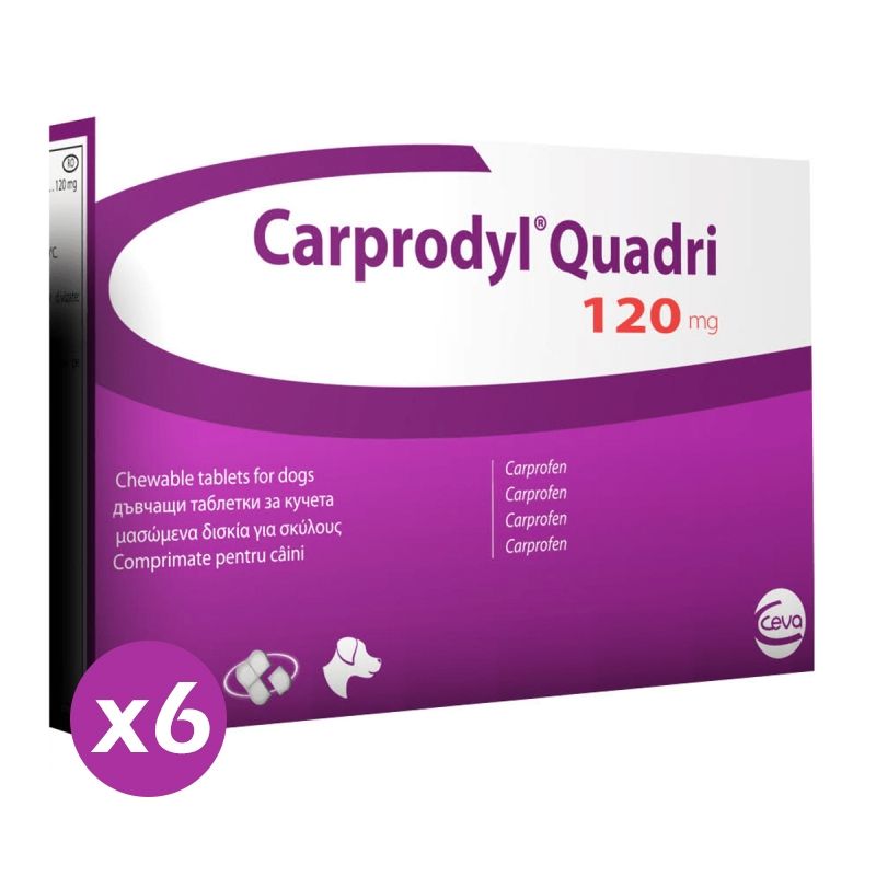 Carprodyl Quadri 120 mg, 6 tablete 120