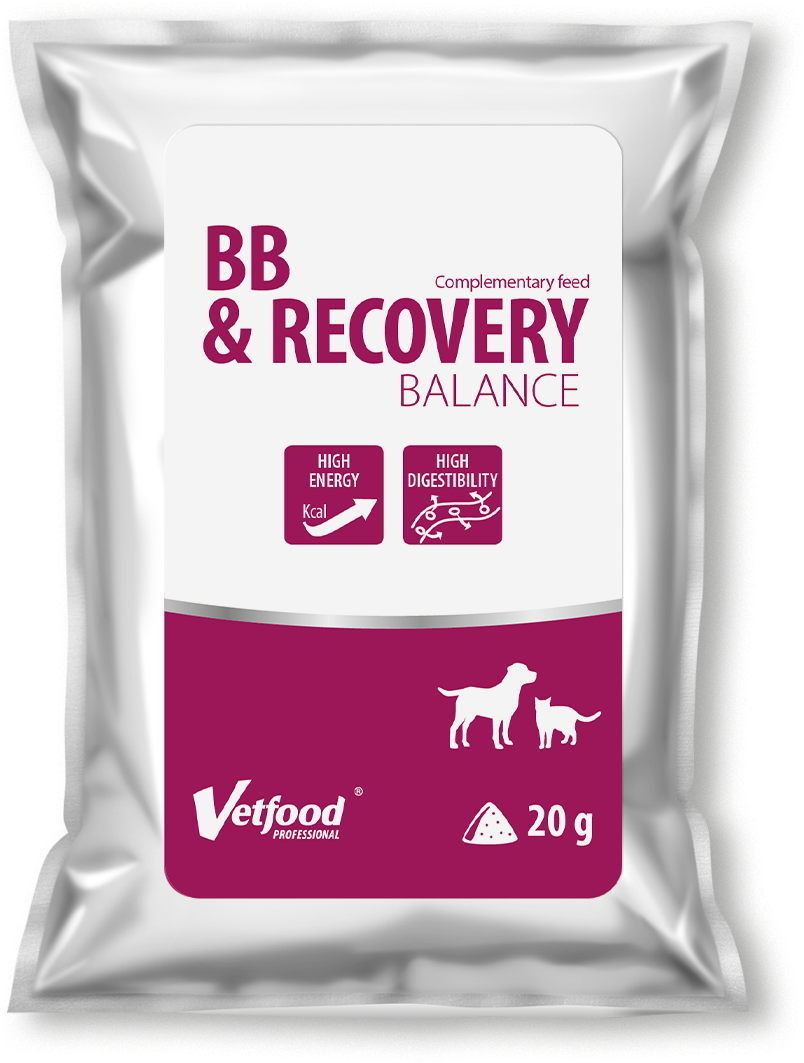 VetFood BB & RECOVERY BALANCE, 20 g