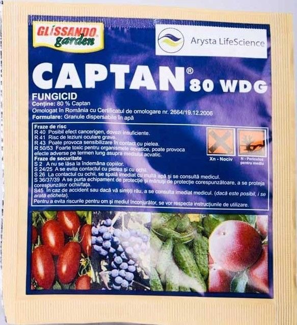 CAPTAN WDG 15G
