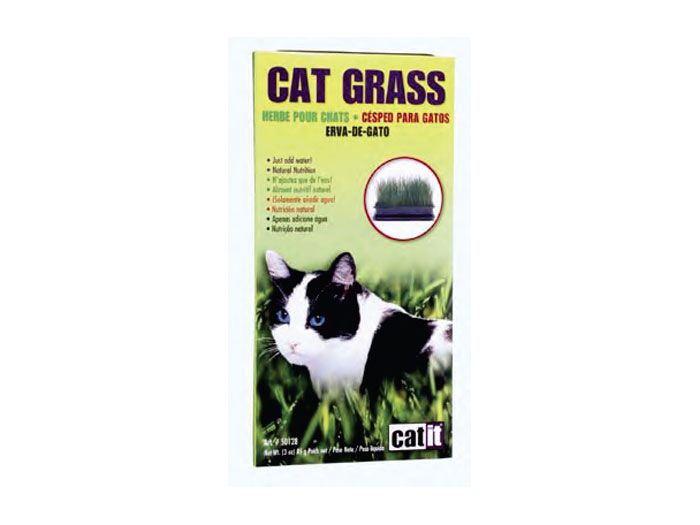 Hagen Iarba Pisica Cat Grass, 75 g