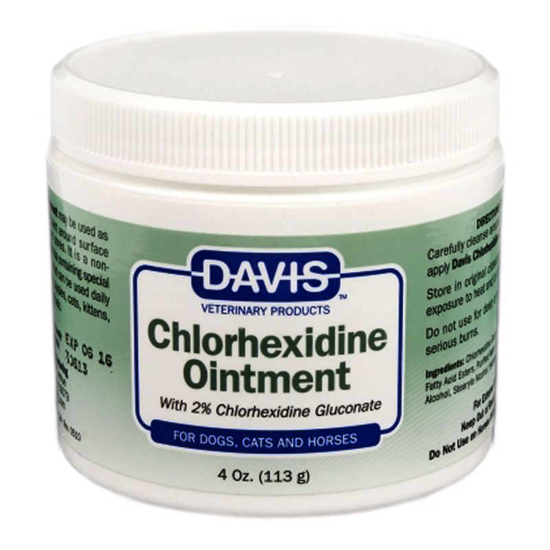 CHLORHEXIDINE 2% OINTMENT x 113 g 113