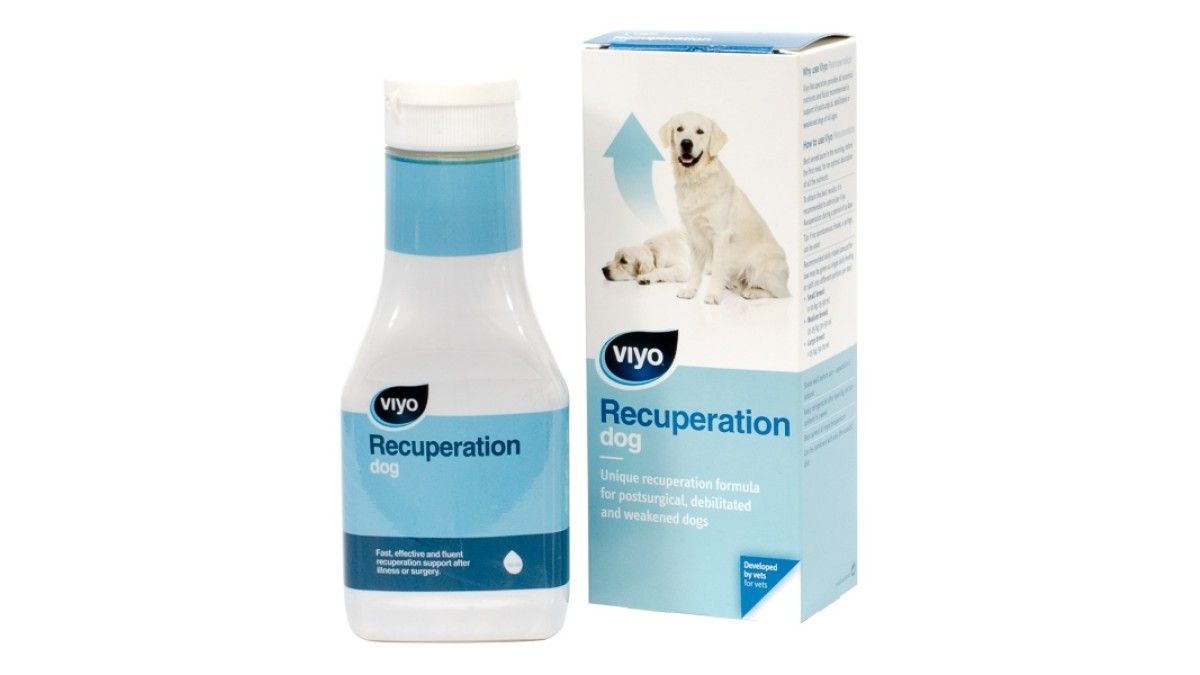 Viyo Recuperation Dog, 150 ml: 65,27 RON - PetMart PetShop