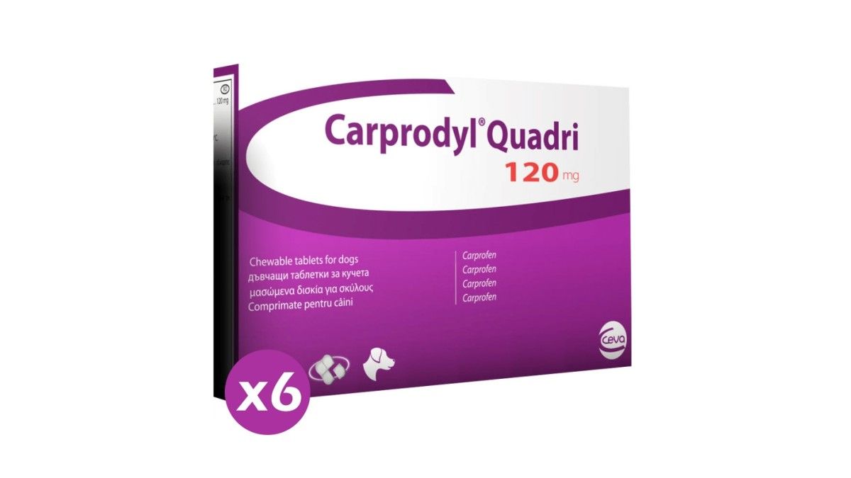 Carprodyl Quadri 120 Mg Dosierung www.petmart.ro