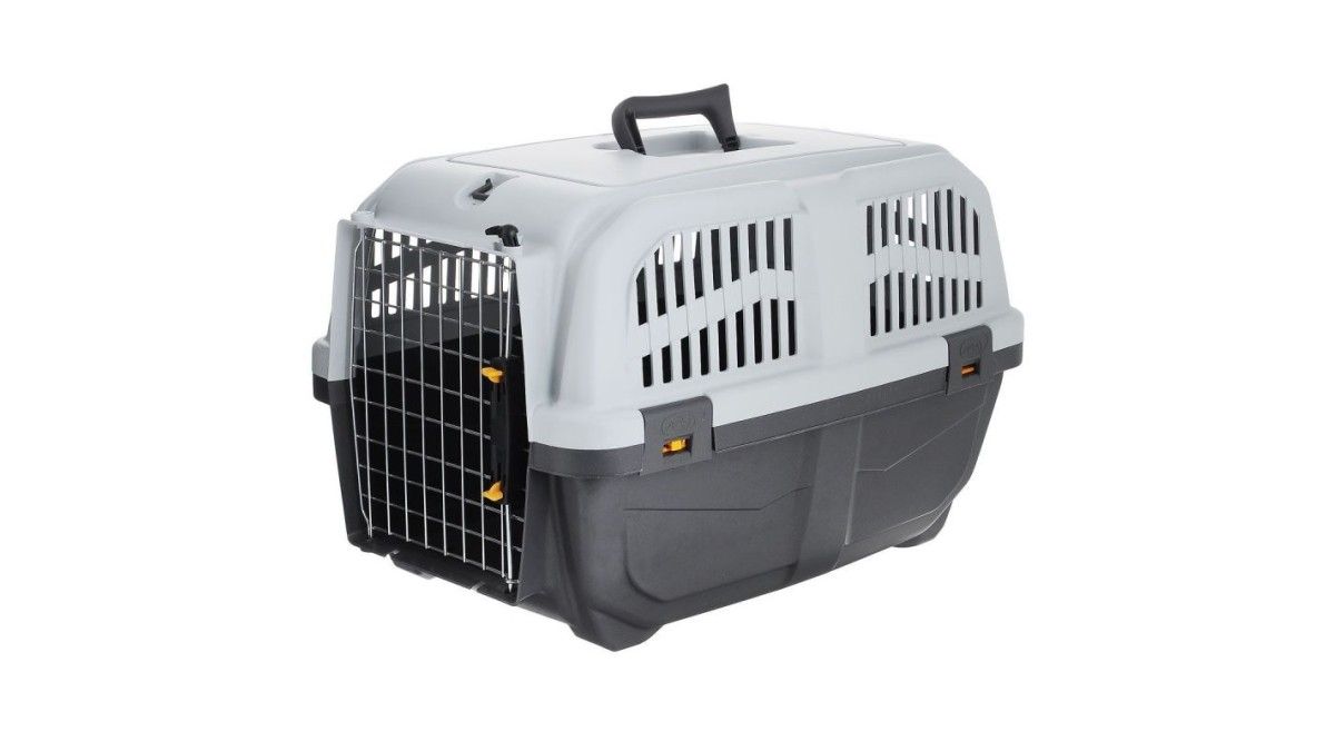 BOW CALICO Kit Di Allenamento Per Cani Protezione Per Le Braccia Juta