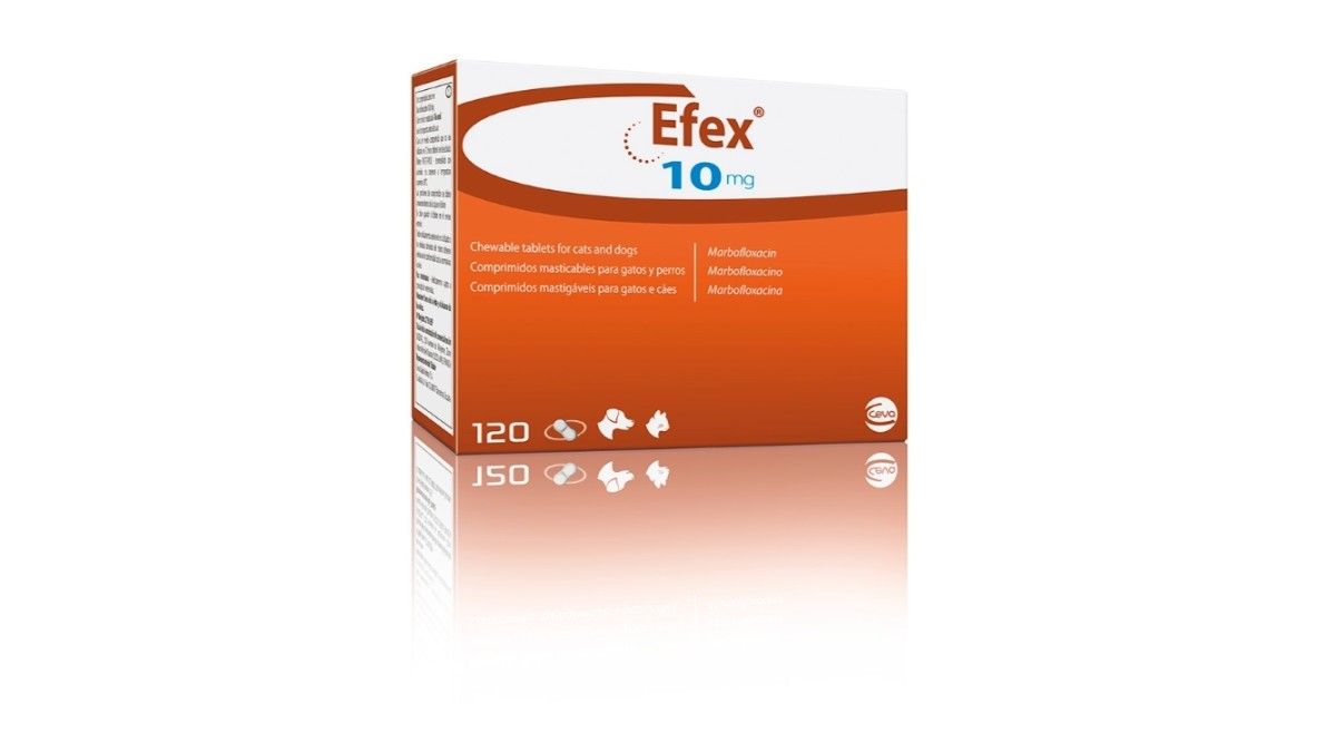 Efex 10 mg, 120 comprimate masticabile: 742,32 lei - PetMart PetShop
