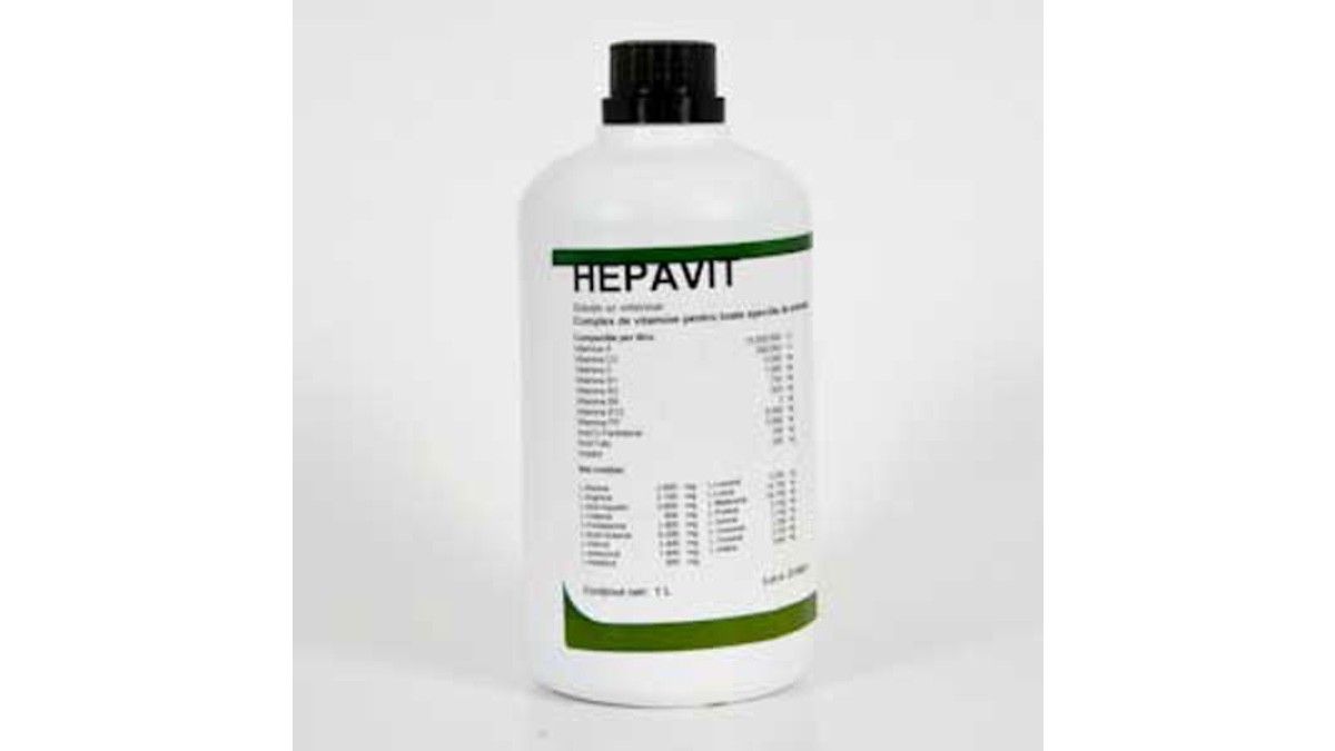 Hepavit Injection Hepavit 1 L: 70,99 lei - PetMart PetShop