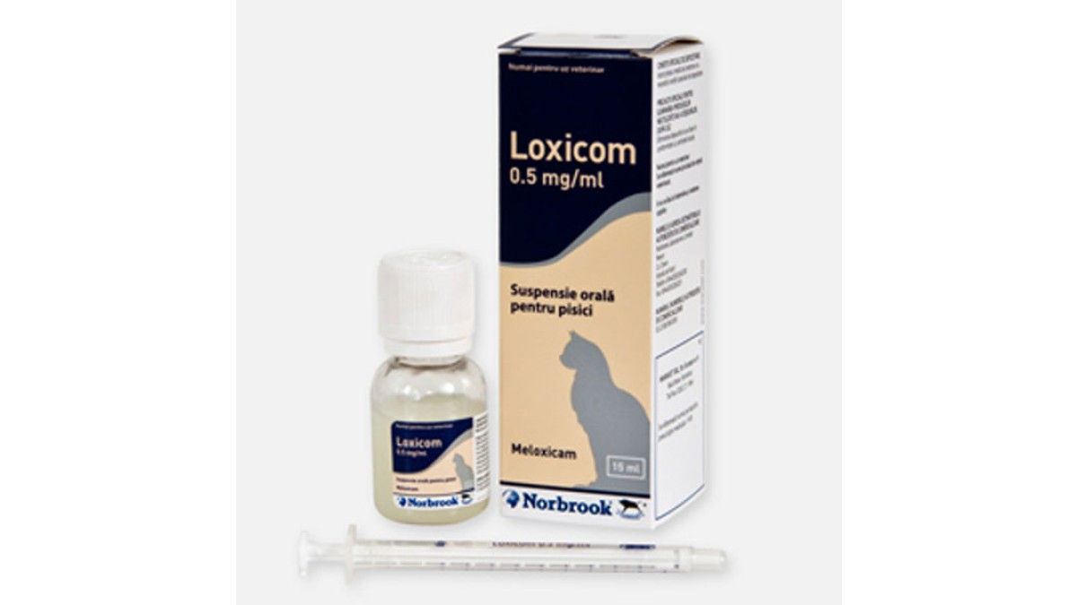 Cat 0.5mg x 15ml 76,26 RON PetMart
