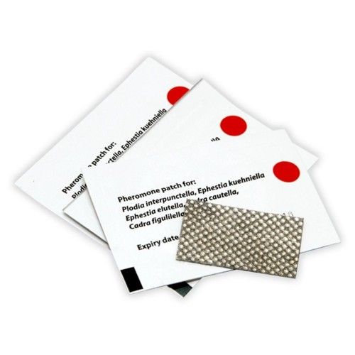 Feromoni Plasture pentru Molii Alimentare, 1 buc