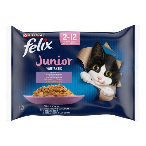 Felix Fantastic Junior Multipack, Pui in Aspic, 4 x 85 g