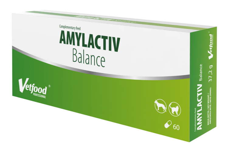 Supliment gastrointestinal, VetFood, Amylactiv Balance, 60 capsule