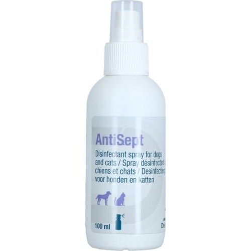 Antisept, 100 ml