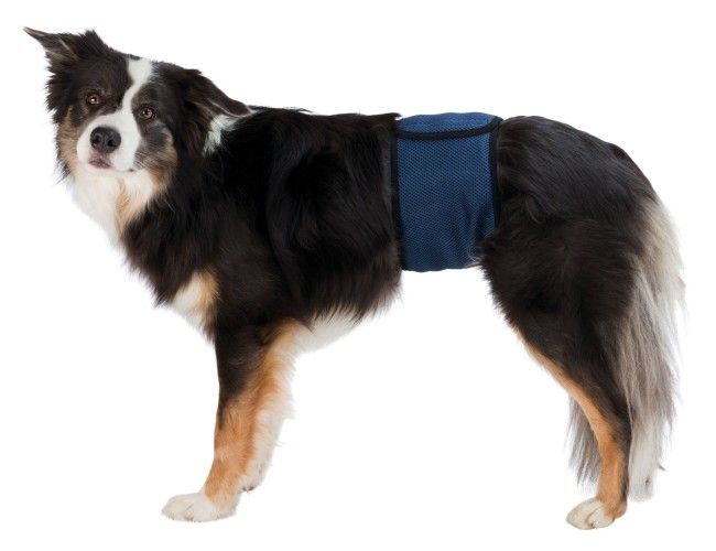 Banda (Incontinenta Urinara) Masculi XL 65-75 cm Albastru 23665