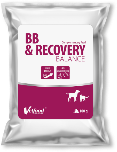 VetFood BB & RECOVERY BALANCE, 100 g