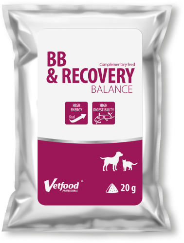 VetFood BB & RECOVERY BALANCE, 20 g