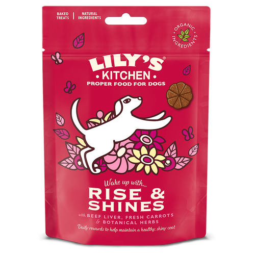 Lily's Kitchen Rise and Shines Baked Treats, 80 g