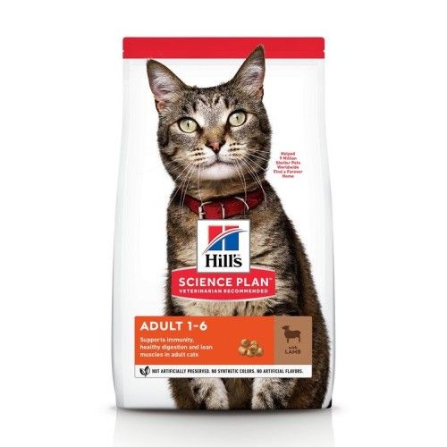 Hrana uscata pisici, Hill's Science Plan Feline Adult Lamb and Rice, 300 g