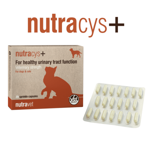 Nutravet Nutracys+, Caini & Pisici, 20 capsule