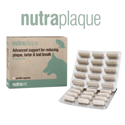 Nutravet NutraPlaque, Caini & Pisici, 60 capsule moi