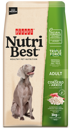 Hrana Uscata Caini Premium, NutriBest Adult Dog, Miel si Orez, 3 kg