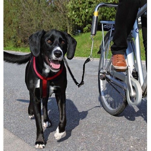 Set de Bicicleta pentru Caini 1287 (R)