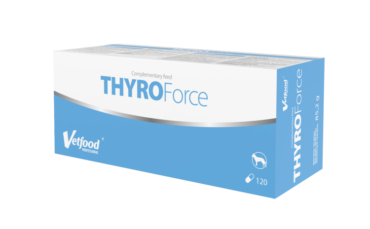 VetFood ThyroForce, 120 capsule