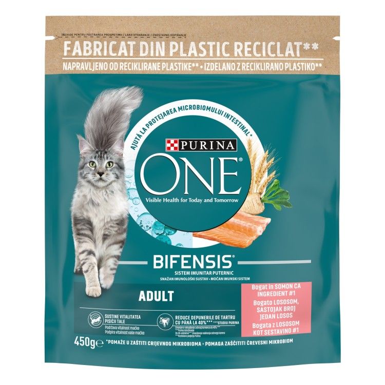ONE ADULT Cat Salmon&WhlG 10x450g RO