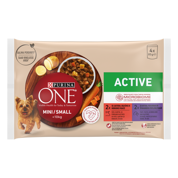 ONE MINI Active GiG MV Bf138 12(4x85g)RO