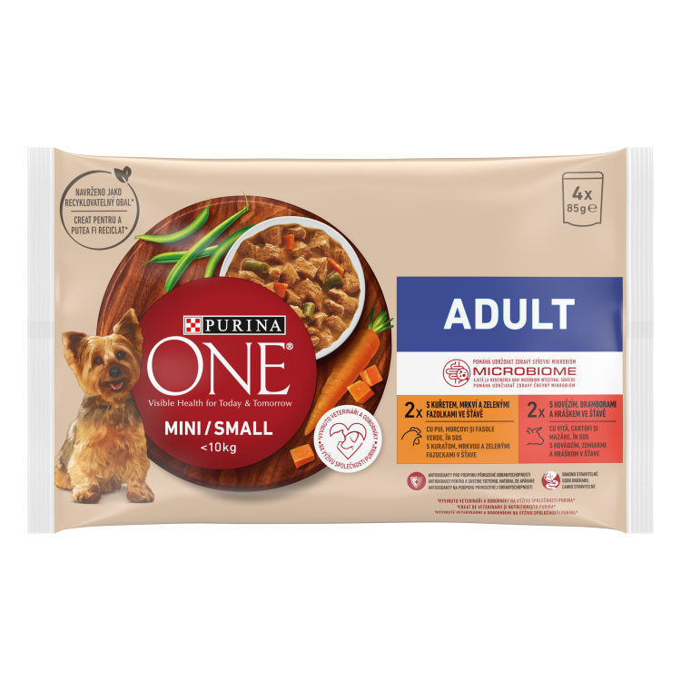 ONE MINI Adult GiG MV Chkn98 12(4x85g)XM