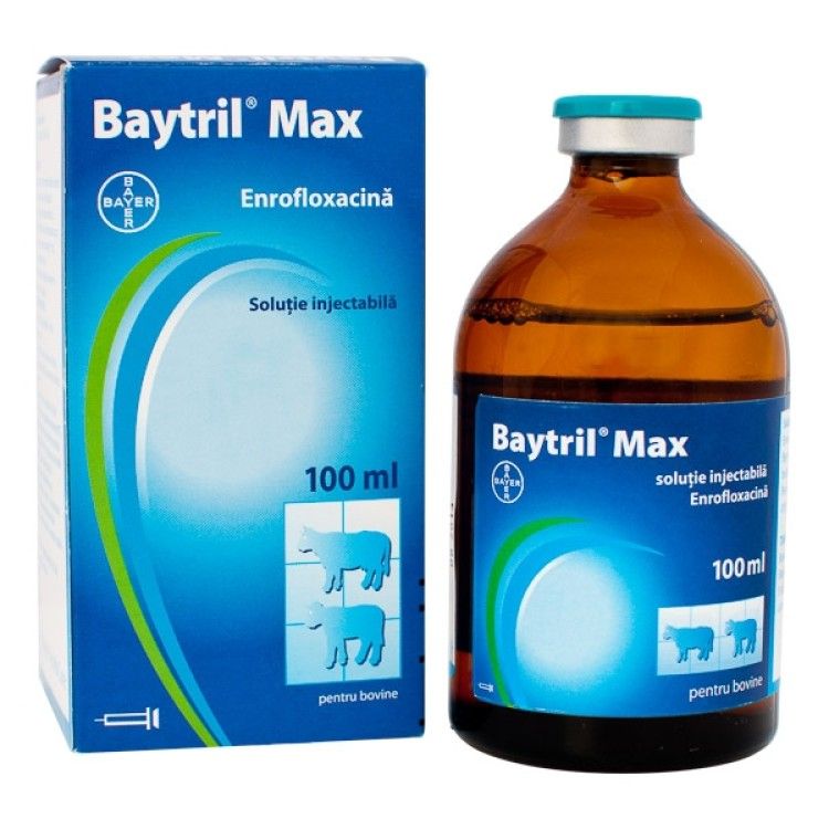 Baytril Max 10% 100 ml inj 